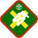 Advance Pioneer badge