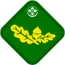 Naturalist badge
