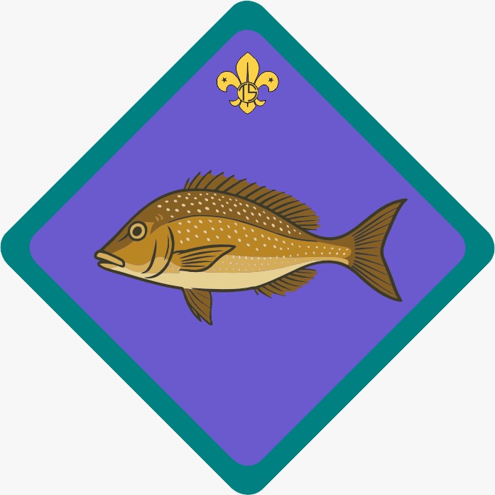 Filolhu Six flag