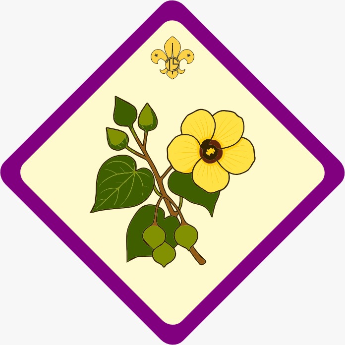 Hirundhu Six flag