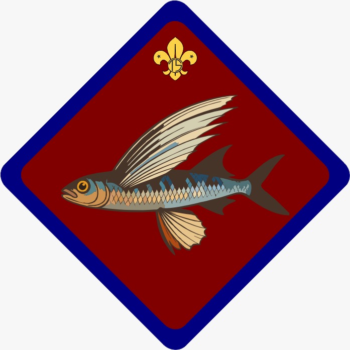 Fulhangi Patrol flag