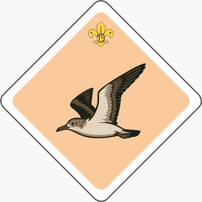 Hoagulhaa Patrol flag