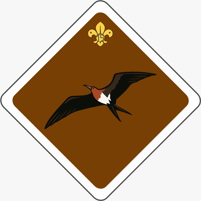 Hoara Patrol flag
