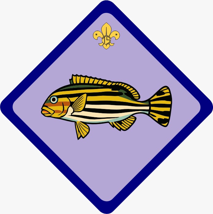 Kandu Guruva Patrol flag