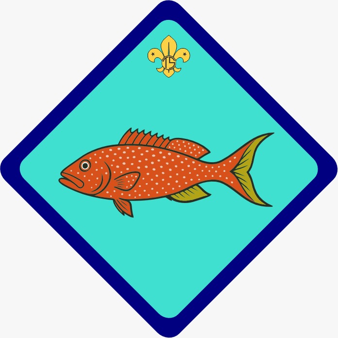 Kanduhaa Patrol flag