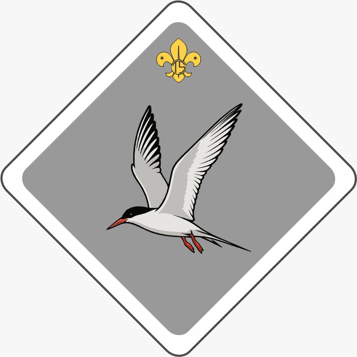 Valla Patrol flag